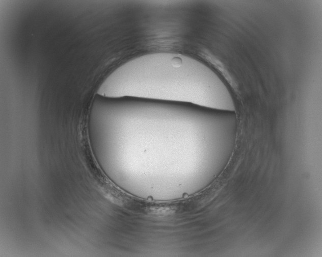 X0000074970161200609011025