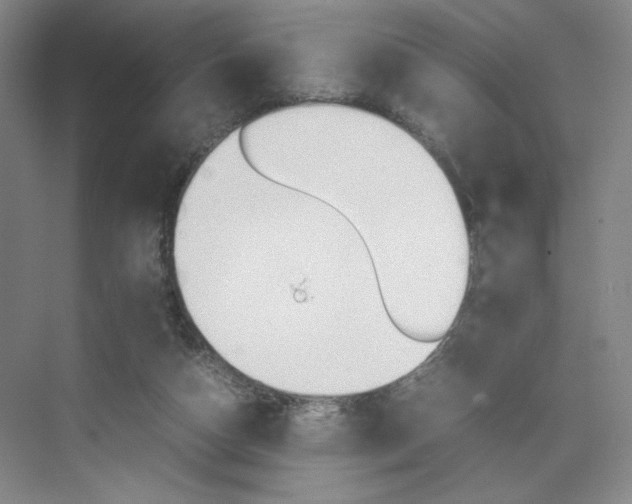 X0000074970162200609011025