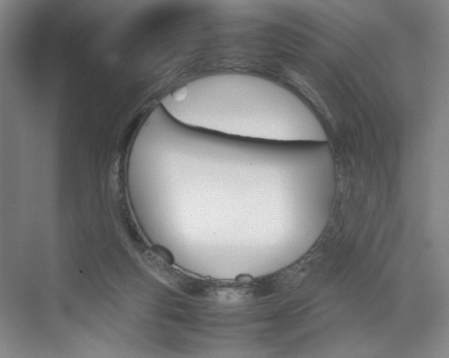 X0000074970163200609011025