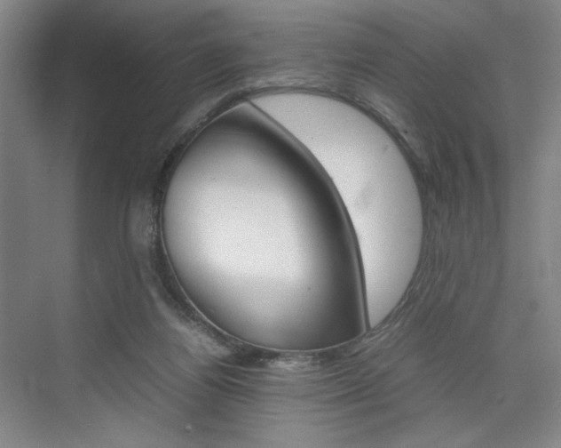 X0000074970164200609011025