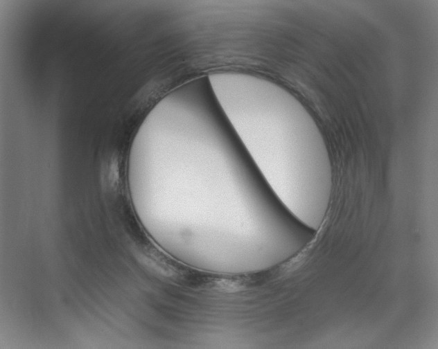 X0000074970166200609011025