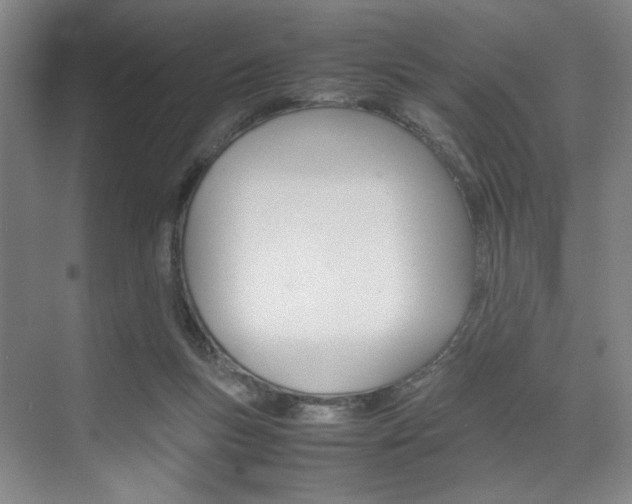 X0000074970167200609011025