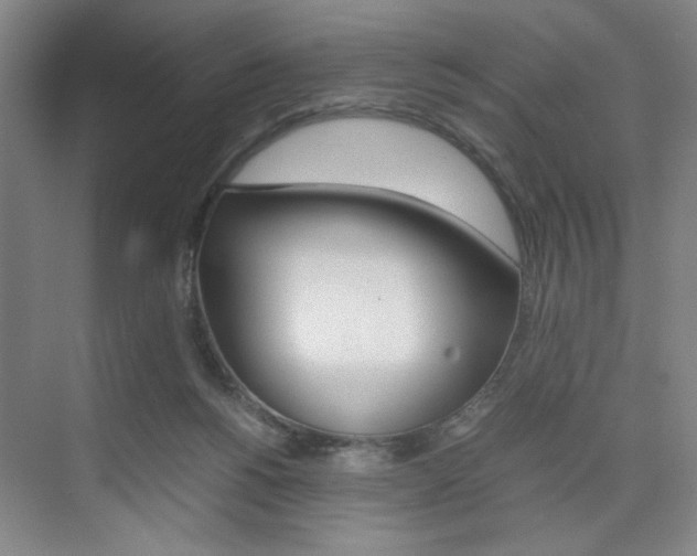 X0000074970168200609011025