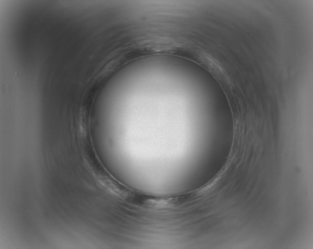 X0000074970170200609011025