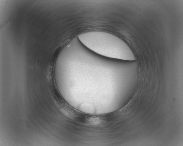 X0000074970171200609011025