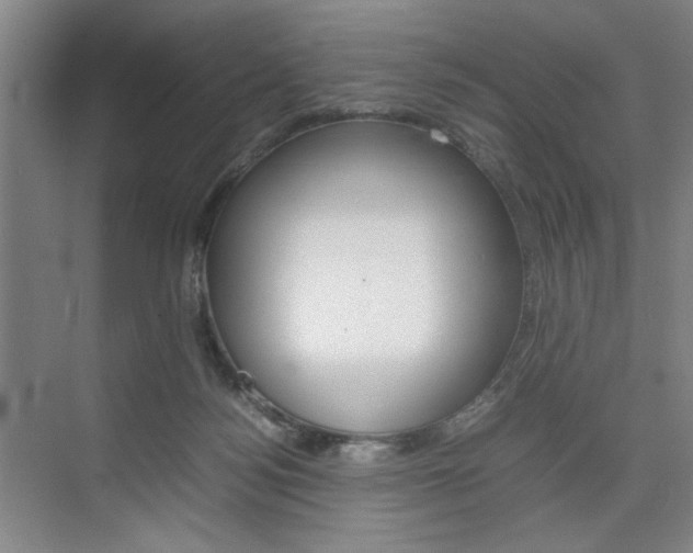 X0000074970172200609011026