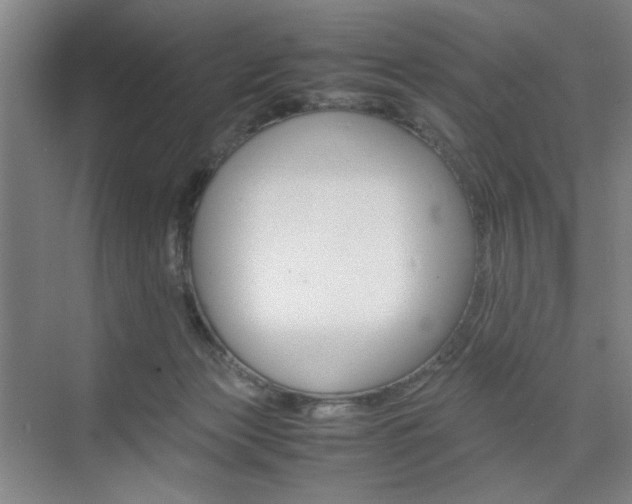 X0000074970173200609011026