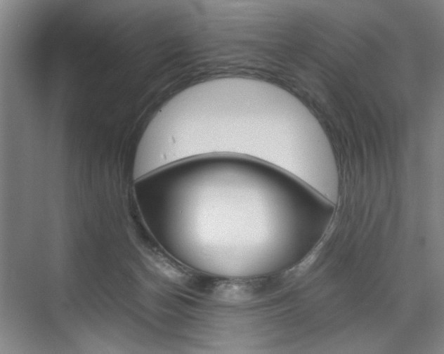 X0000074970174200609011026