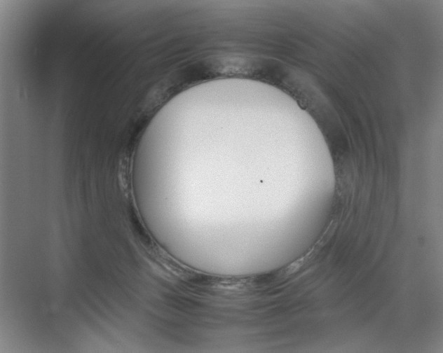 X0000074970175200609011026