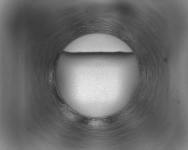 X0000074970177200609011026