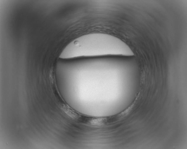 X0000074970178200609011026