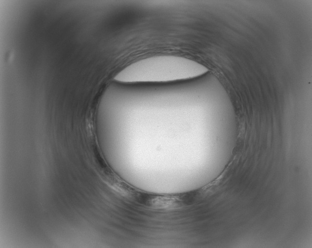 X0000074970179200609011026