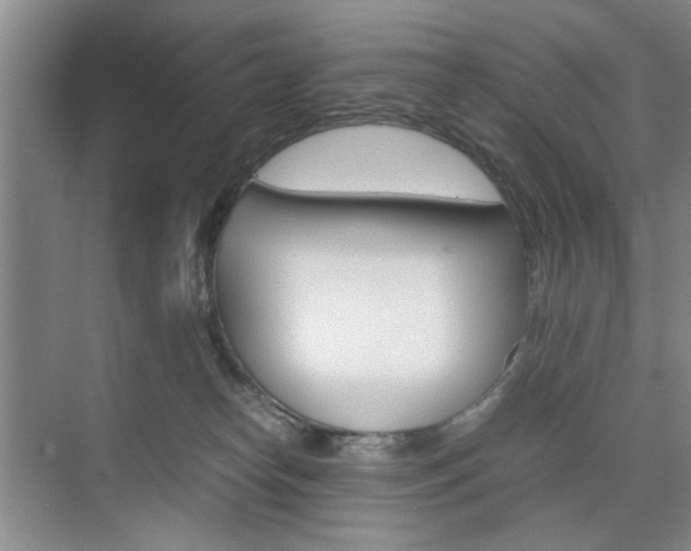 X0000074970182200609011026