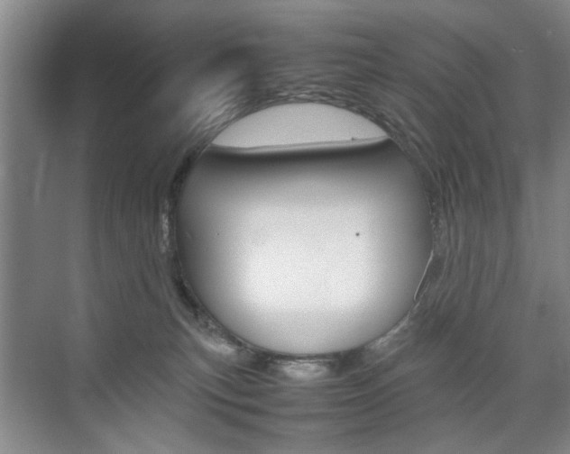 X0000074970183200609011026