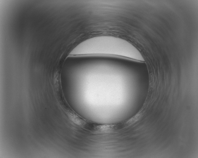 X0000074970184200609011026