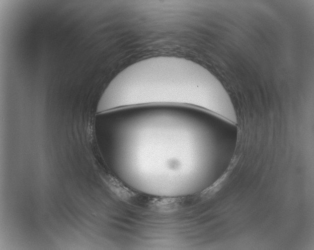 X0000074970186200609011026