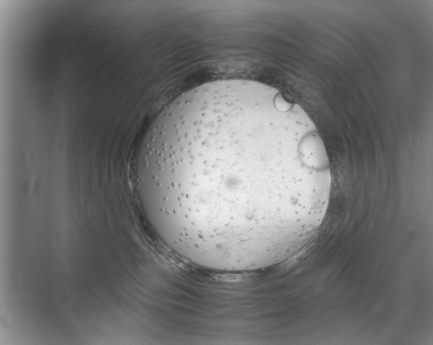 X0000074970187200609011026