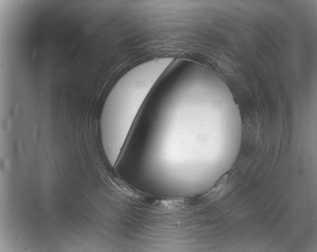 X0000074970188200609011026