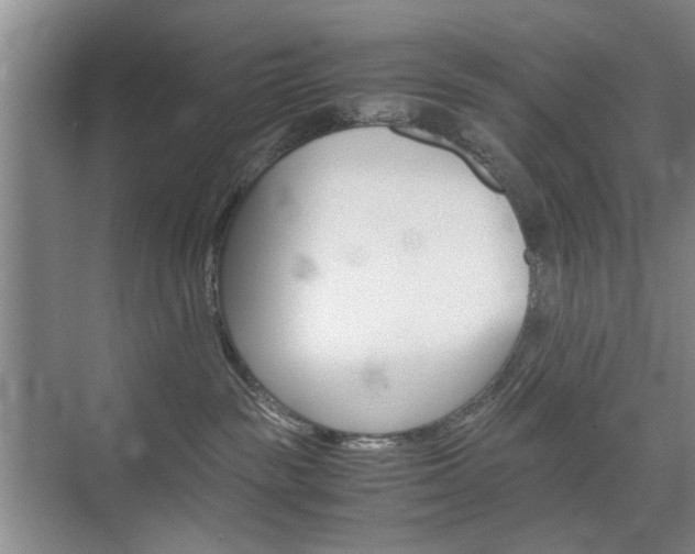 X0000074970189200609011026