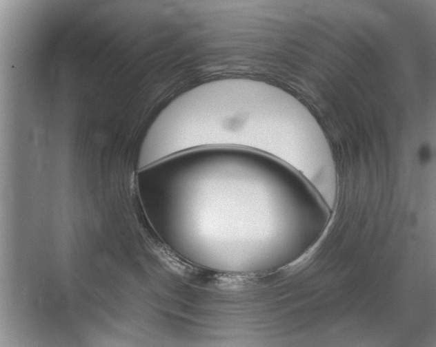 X0000074970190200609011026