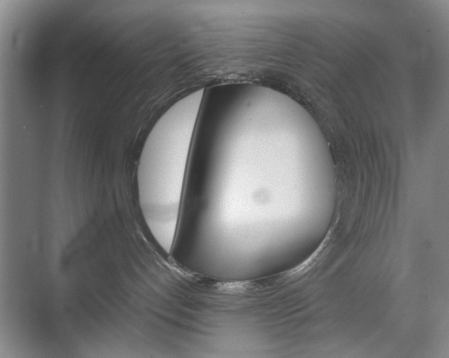 X0000074970192200609011026