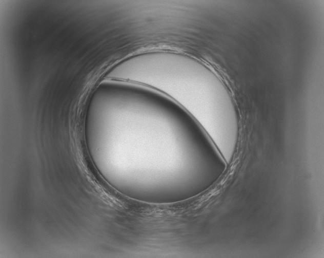 X0000074970193200609011025