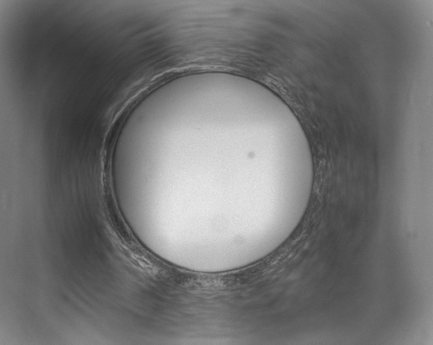 X0000074970194200609011025