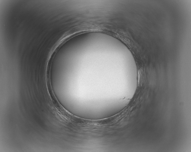 X0000074970195200609011025