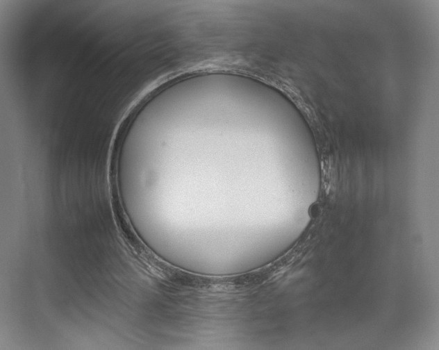 X0000074970196200609011025