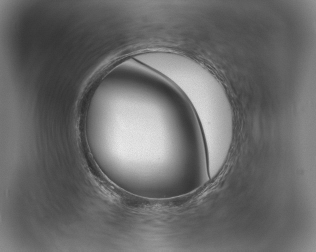 X0000074970197200609011025