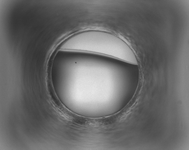 X0000074970199200609011025