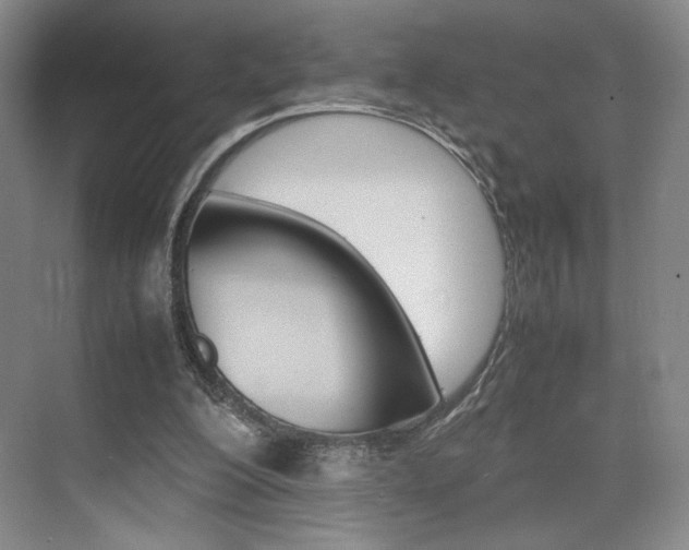 X0000074970200200609011025