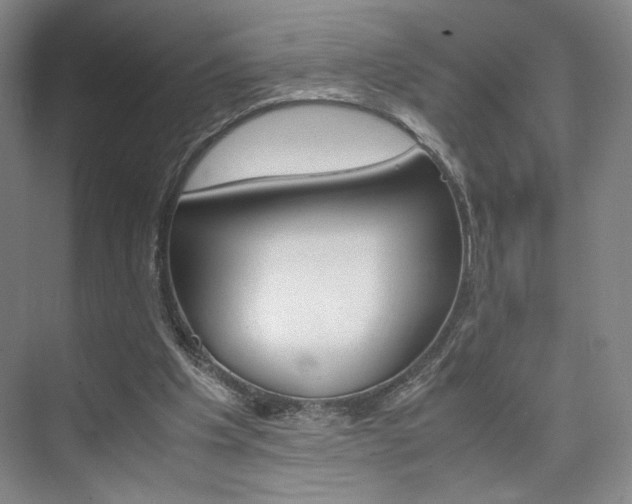 X0000074970201200609011025