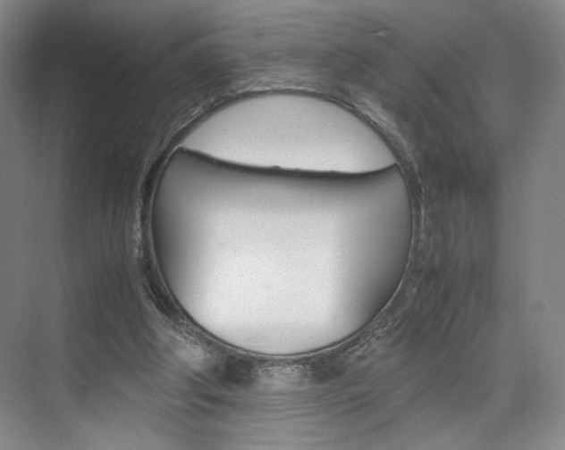 X0000074970202200609011025