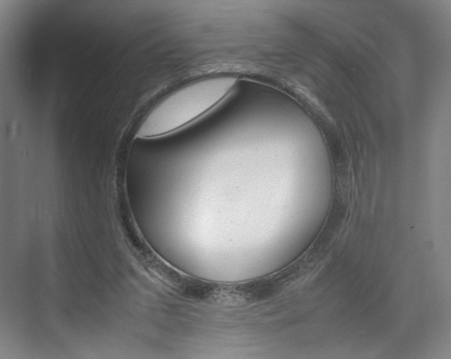 X0000074970207200609011025