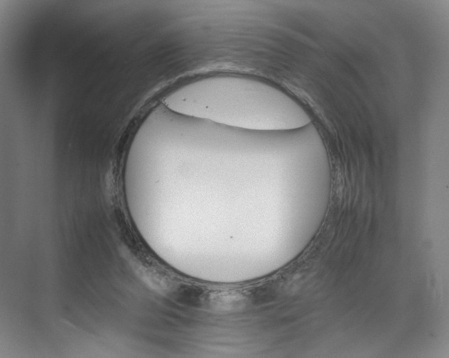 X0000074970208200609011025