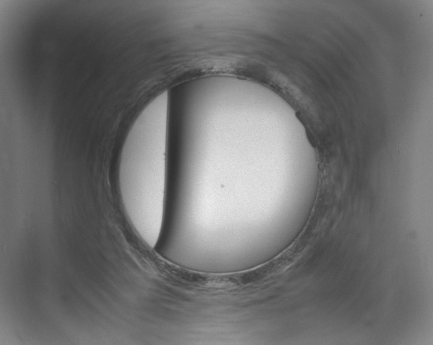 X0000074970209200609011025