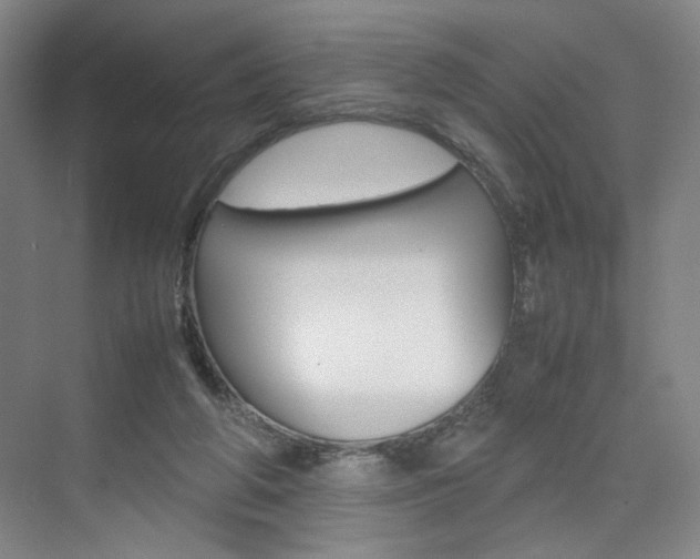 X0000074970210200609011025