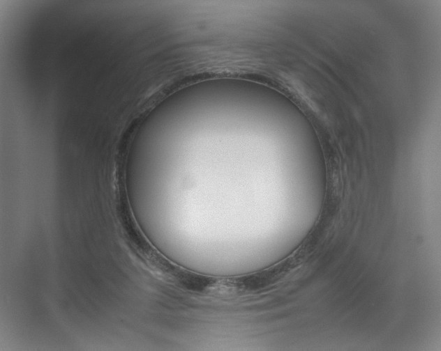 X0000074970211200609011025