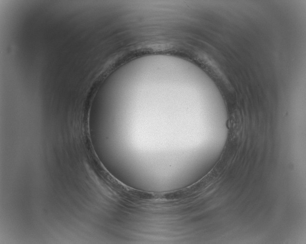 X0000074970212200609011025