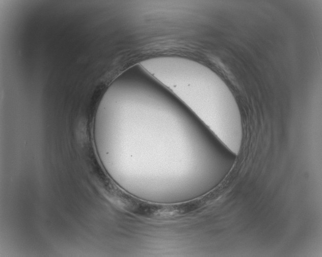 X0000074970213200609011025