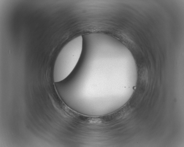 X0000074970214200609011025