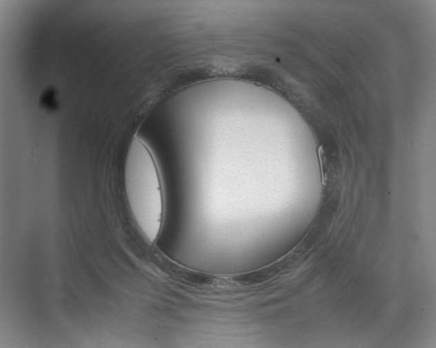 X0000074970215200609011025