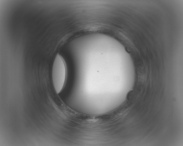 X0000074970216200609011025