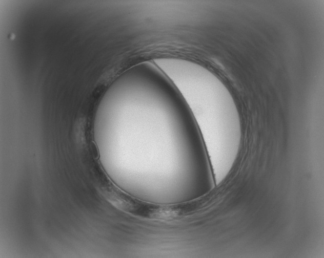 X0000074970217200609011025