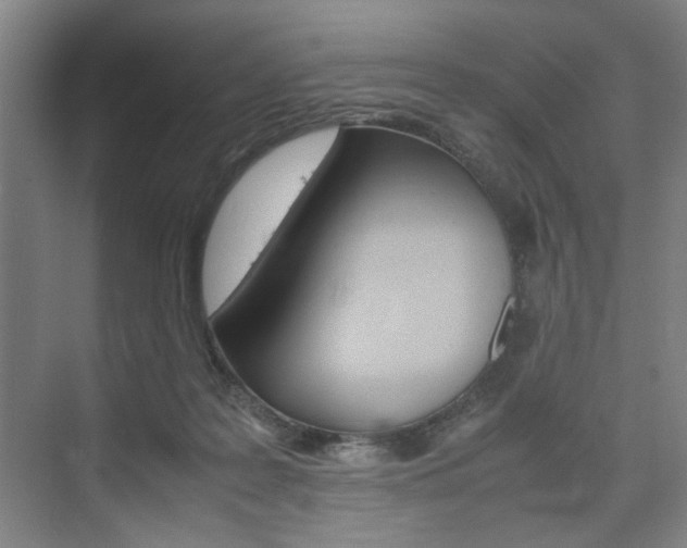 X0000074970219200609011025