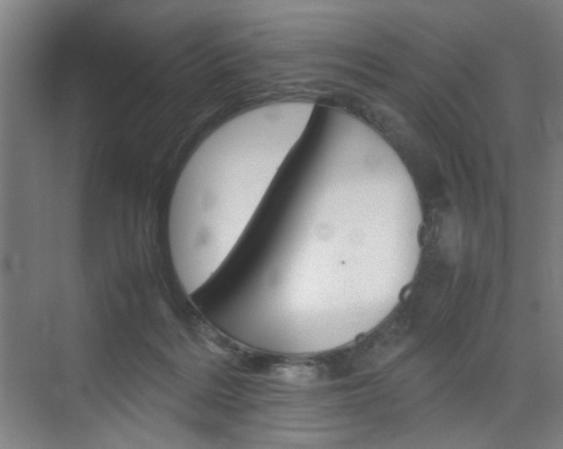 X0000074970220200609011025