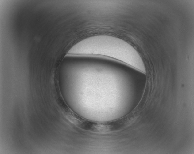 X0000074970221200609011025