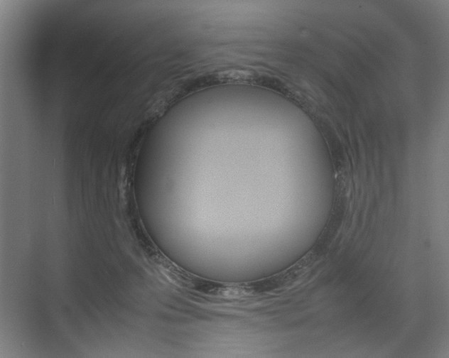 X0000074970223200609011025