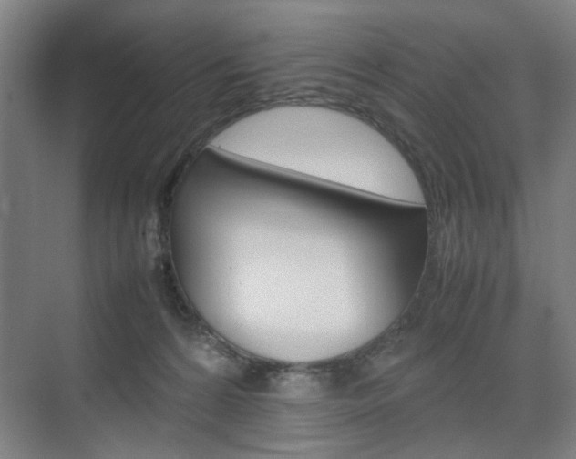 X0000074970224200609011025